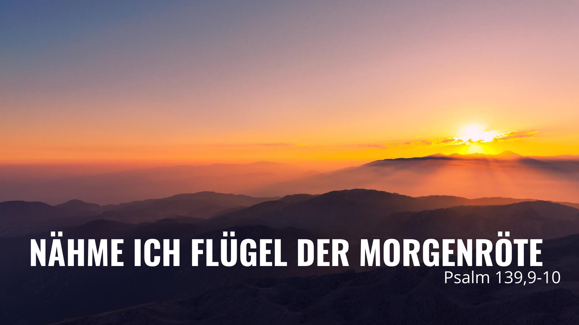 Folge 92 – Nähme ich Flügel der Morgenröte (Psalm 139)